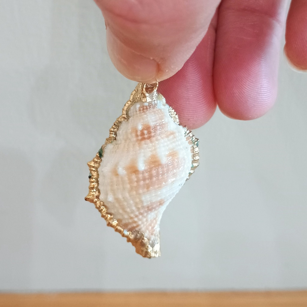 Natural Conch Seashell Pendant Gold Accented Nautical Ocean - Picture 5 of 6